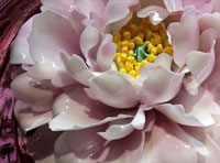 新聞｜我公司當(dāng)選河南省人民對外友好協(xié)會理事單位，創(chuàng)始人李治國當(dāng)選理事并接受河南日報與河南衛(wèi)視的采訪。